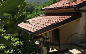 Apartments Smit